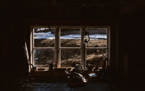 Image Not Found On Media Library