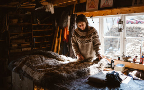 Image Not Found On Media Library