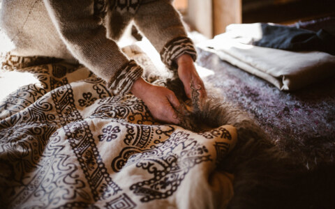 Image Not Found On Media Library