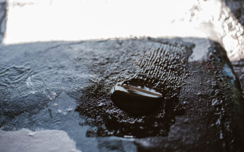 Image Not Found On Media Library