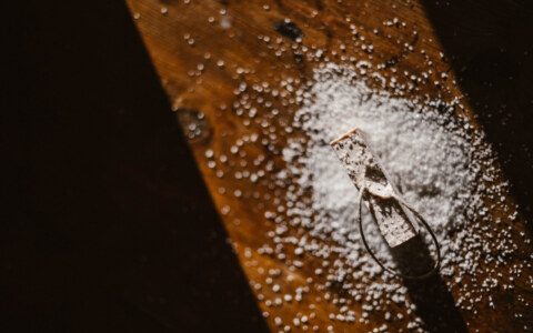 Image Not Found On Media Library