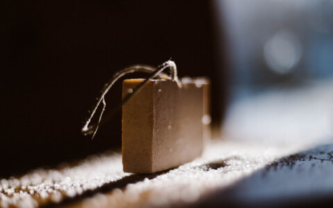 Image Not Found On Media Library