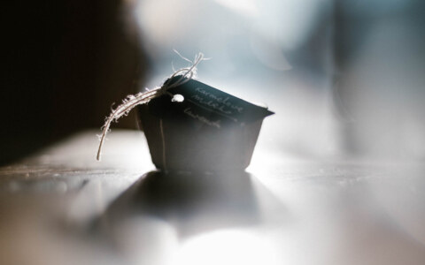 Image Not Found On Media Library