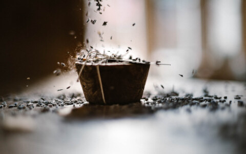 Image Not Found On Media Library