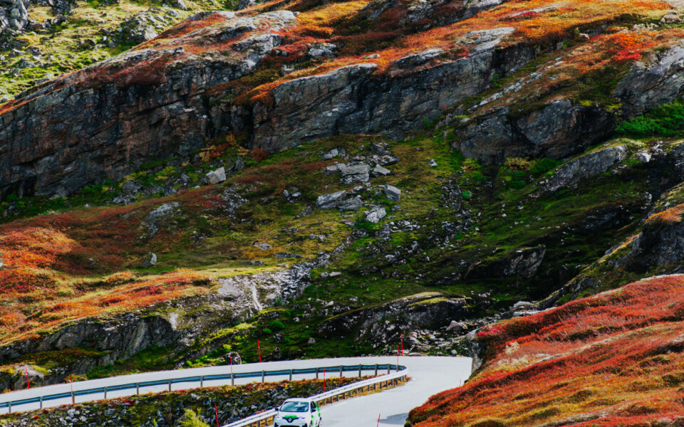 Image Not Found On Media Library