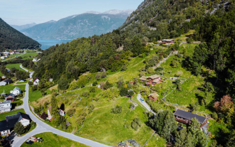 Image Not Found On Media Library