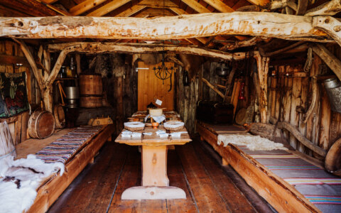 Image Not Found On Media Library