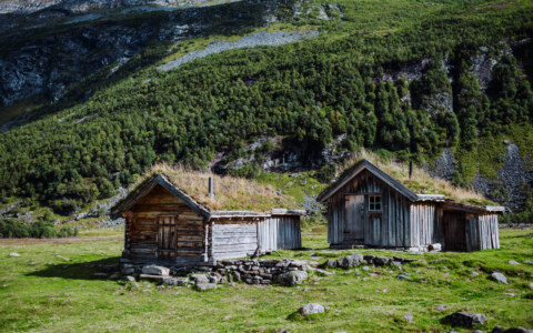 Image Not Found On Media Library