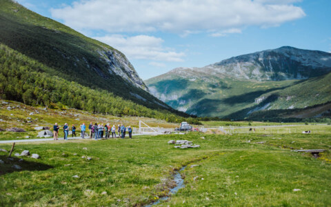 Image Not Found On Media Library