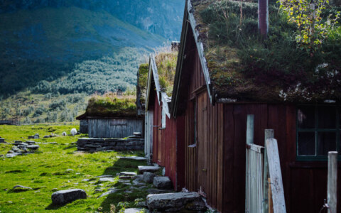 Image Not Found On Media Library