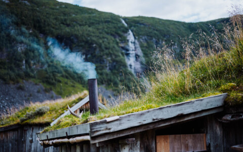 Image Not Found On Media Library