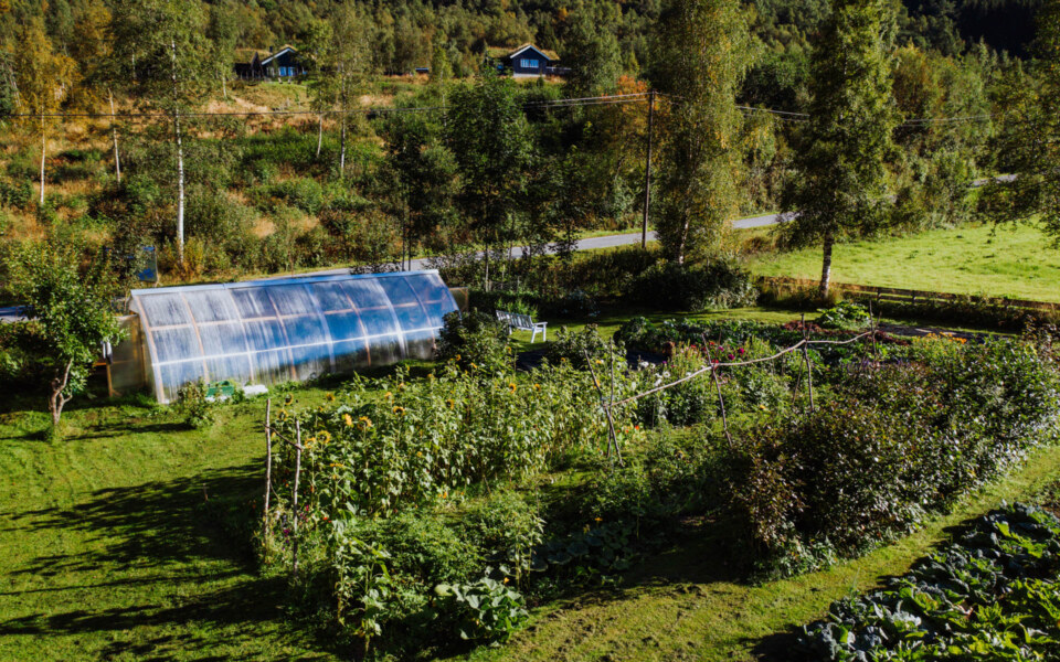 Image Not Found On Media Library