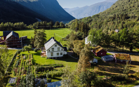 Image Not Found On Media Library