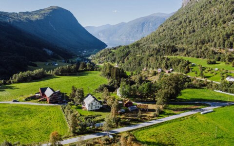 Image Not Found On Media Library