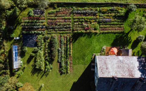 Image Not Found On Media Library