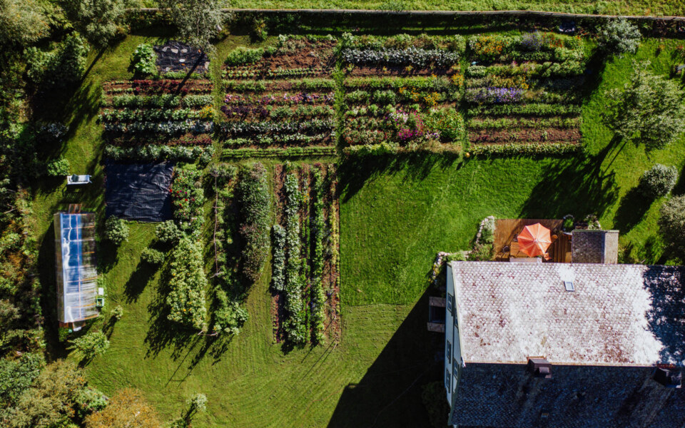 Image Not Found On Media Library