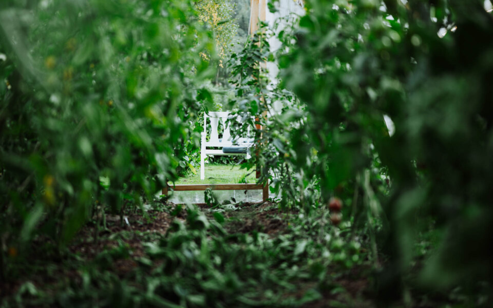 Image Not Found On Media Library