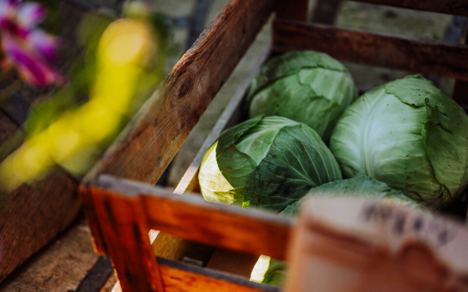 Image Not Found On Media Library