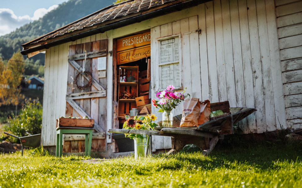 Image Not Found On Media Library