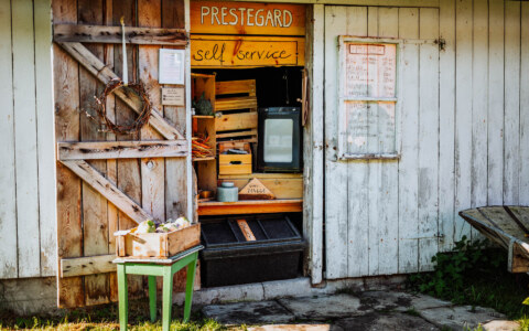 Image Not Found On Media Library