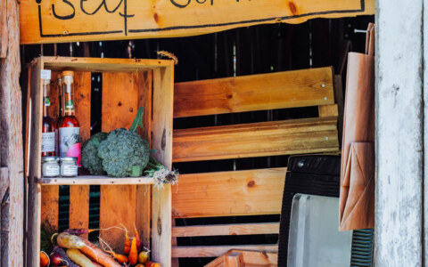 Image Not Found On Media Library