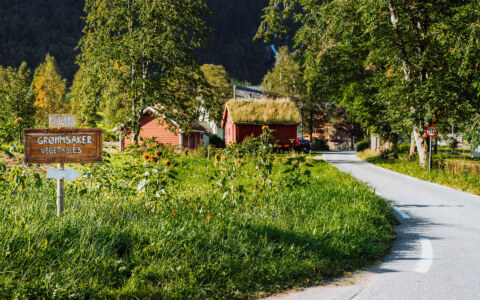 Image Not Found On Media Library