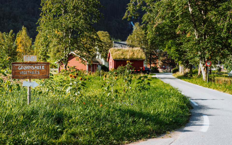 Image Not Found On Media Library