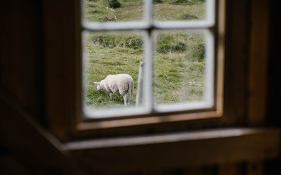 Image Not Found On Media Library