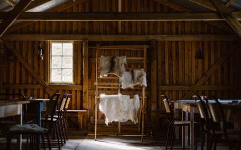 Image Not Found On Media Library