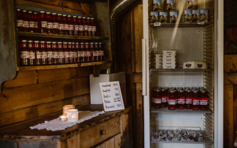 Image Not Found On Media Library