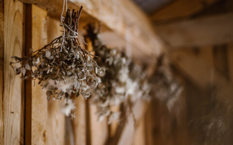 Image Not Found On Media Library