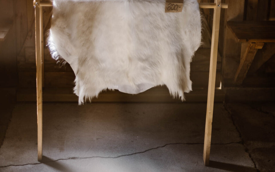 Image Not Found On Media Library