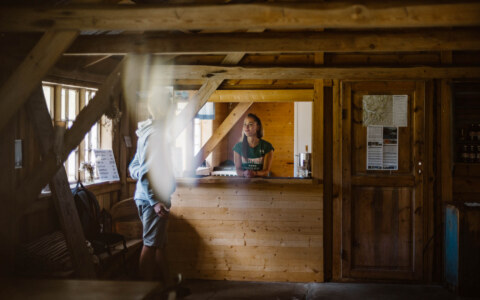 Image Not Found On Media Library