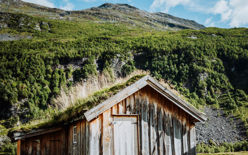 Image Not Found On Media Library