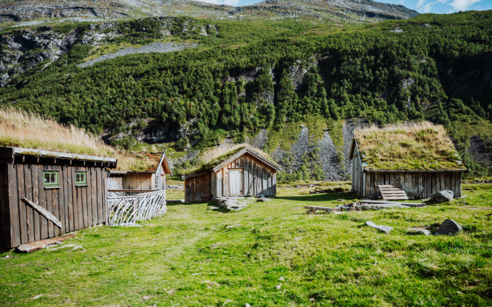 Image Not Found On Media Library