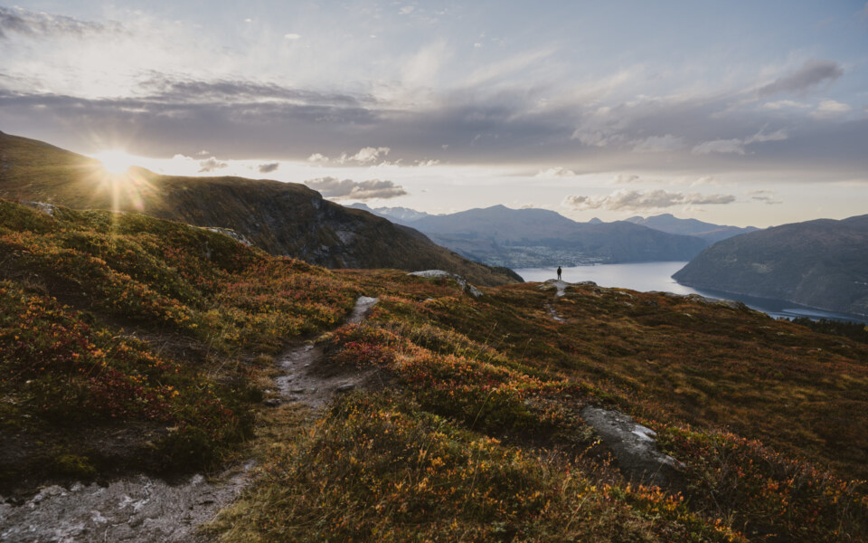 Image Not Found On Media Library