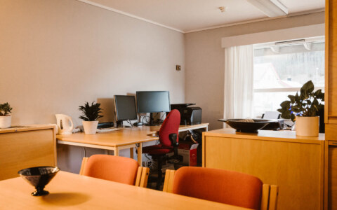 Image Not Found On Media Library