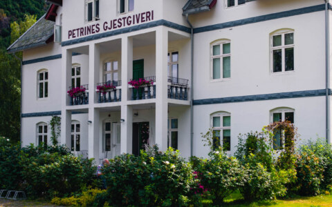 Image Not Found On Media Library