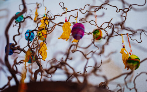 Image Not Found On Media Library