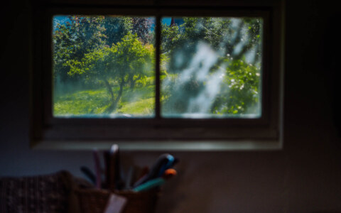 Image Not Found On Media Library