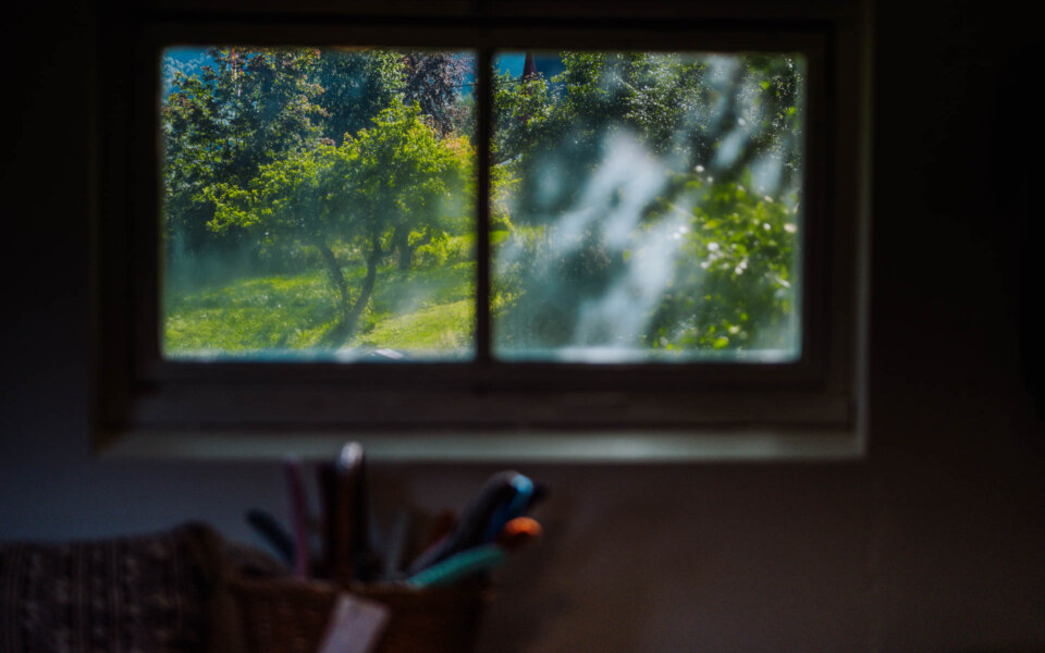 Image Not Found On Media Library