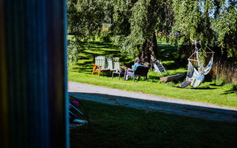 Image Not Found On Media Library