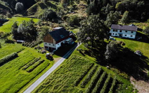 Image Not Found On Media Library