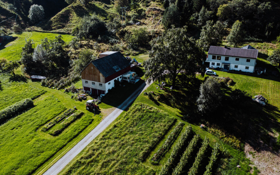 Image Not Found On Media Library