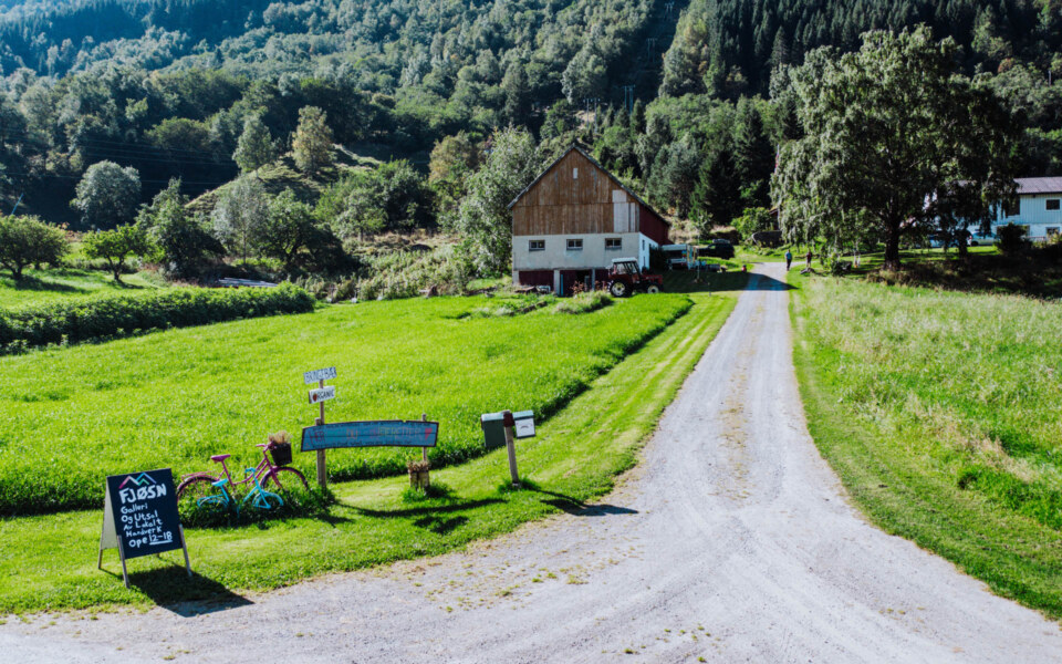 Image Not Found On Media Library