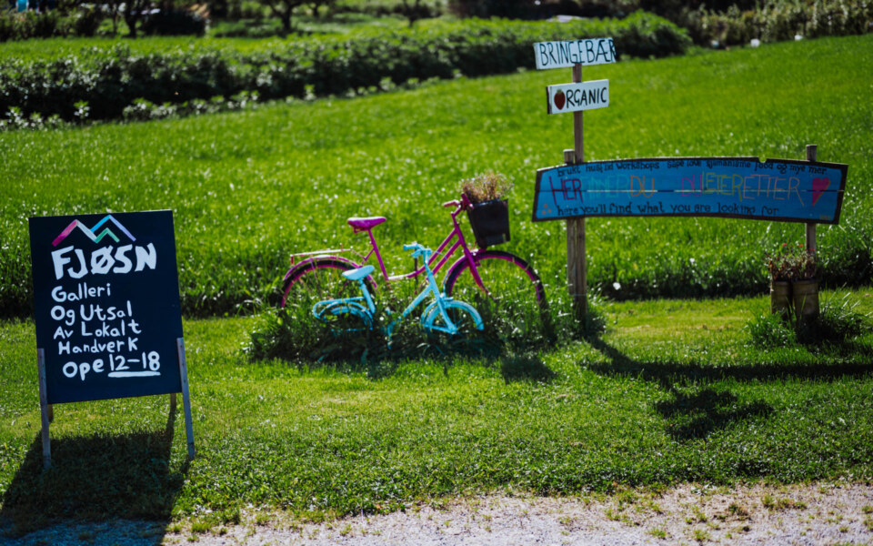 Image Not Found On Media Library