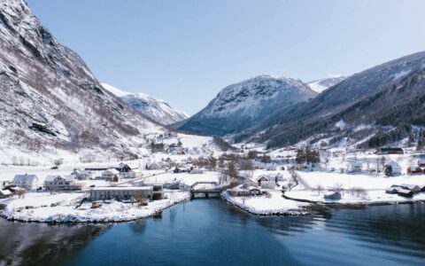 Image Not Found On Media Library