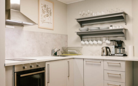 Image Not Found On Media Library