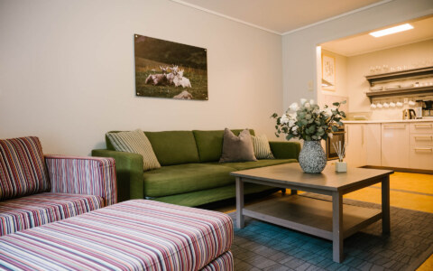 Image Not Found On Media Library