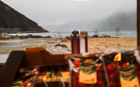 Image Not Found On Media Library